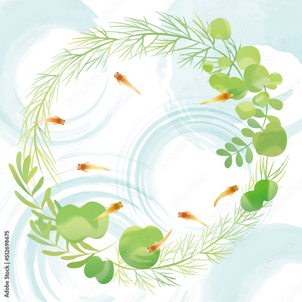 メダカ 水草 和風イラスト Stock Vector | Adobe Stock
