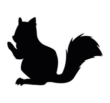 Squirrel Black Silhouette Style