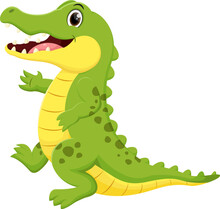 Cute Crocodile Cartoon , Isolated On White Background