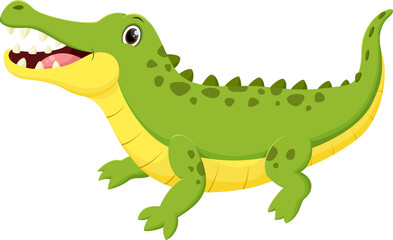  Cute crocodile cartoon , isolated on white background