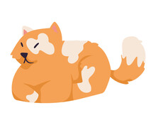 Orange Cute Cat Mascot