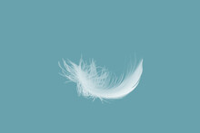 Abstract Single White Bird Feathers Falling In The Air. Swan Feather 