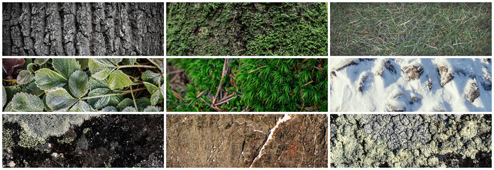 Wall Mural - Set of natural textures. Nature objects close-up: trunks and bark of trees, foliage of plants, surface of stones, moss and lichen, hoarfrost and snow. Collection of panoramic backgrounds for design.