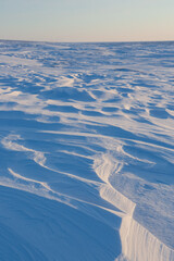 Wall Mural - Winter arctic landscape. Snow-covered tundra. On the surface of the snow, there are sastrugi (patterns formed by erosion of snow by wind). Cold frosty weather. The harsh climate of the polar region.