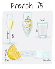 Wall Mural - French 75 Cocktail Illustration Recipe Drink with Ingredients