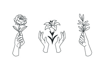 Wall Mural - collection of female hands with plants and flowers. line vector illustration. suitable for the desig