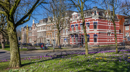 Wall Mural - Crocuses in front of historic buildings in Groningen, Netherlands