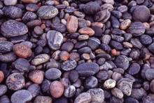 Background Texture Of Water Worn Pebbles With Smooth Rounded Irregular Shapes On A Beach