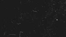 Realistic Dust Particles On Dark Background. Abstract Animation. White And Glow Dust Particle Abstract On Black Background