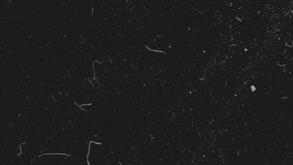 Wall Mural - realistic dust particles on dark background. abstract animation. white and glow dust particle abstra