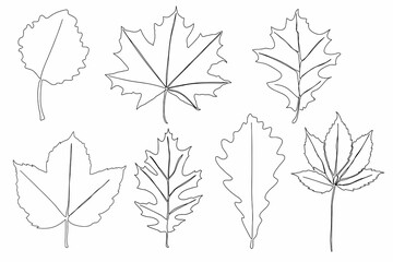 Wall Mural - A set of autumn leaves drawn with a continuous line. Autumn leaf in one line style icon vector illustration design
