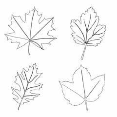 Wall Mural - A set of autumn leaves drawn with a continuous line. Autumn leaf in one line style icon vector illustration design