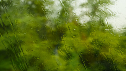 Shooting a forest landscape through the wet glass of a train car. Rain outside the window and drops of water on the glass.