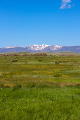 Wall Mural - Landscape at Arapaho National Wildlife Refuge in northern Colorado