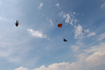 Wall Mural - Skydiving. Skydivers are flying in the sky.