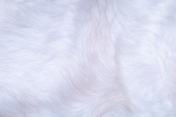 white fur texture close-up beautiful abstract feather background