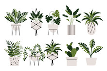 Set Of Home Tropical Plants In Pots, Floor And Hanging. Icons, Plant Protection, Vector