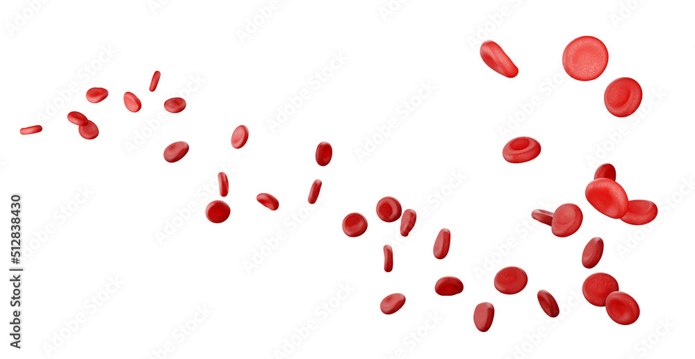 Blood cells isolated on a white background. Blood cells in a vein, 3d ...