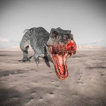 Tyrannosaurus Is Look At You And Ready To Bite On Sunset Desert
