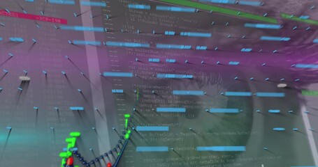 Wall Mural - animation of lines and graphs over eye of woman and data processing