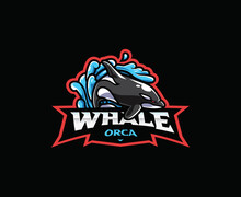 Orca Whale Mascot Logo Design