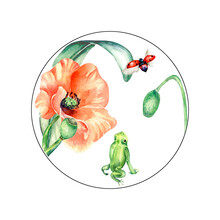 Circle Frame With Frog, Ladybug And Poppy Watercolor Illustration On White