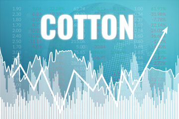 Wall Mural - Price change on trading Cotton on blue finance background. Uptrend