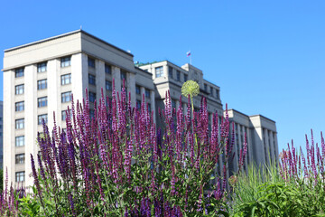 Wall Mural - Defocused view through the flowers to facade of State Duma in Moscow, Russian parliament building  in summer