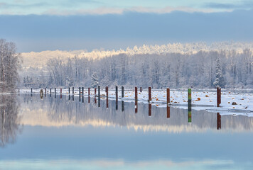 Wall Mural - Fraser River Winter Fresh Snow. Fresh snow on a logboom on the Fraser River. Vancouver, British Columbia, Canada.

