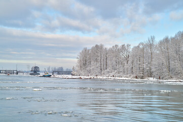 Wall Mural - Fraser River Ice and Log Boom. Working with log booms as ice moves down the Fraser River. Vancouver, British Columbia, Canada.

