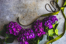 Fresh Purple Hydrangea Flowers In Frame
