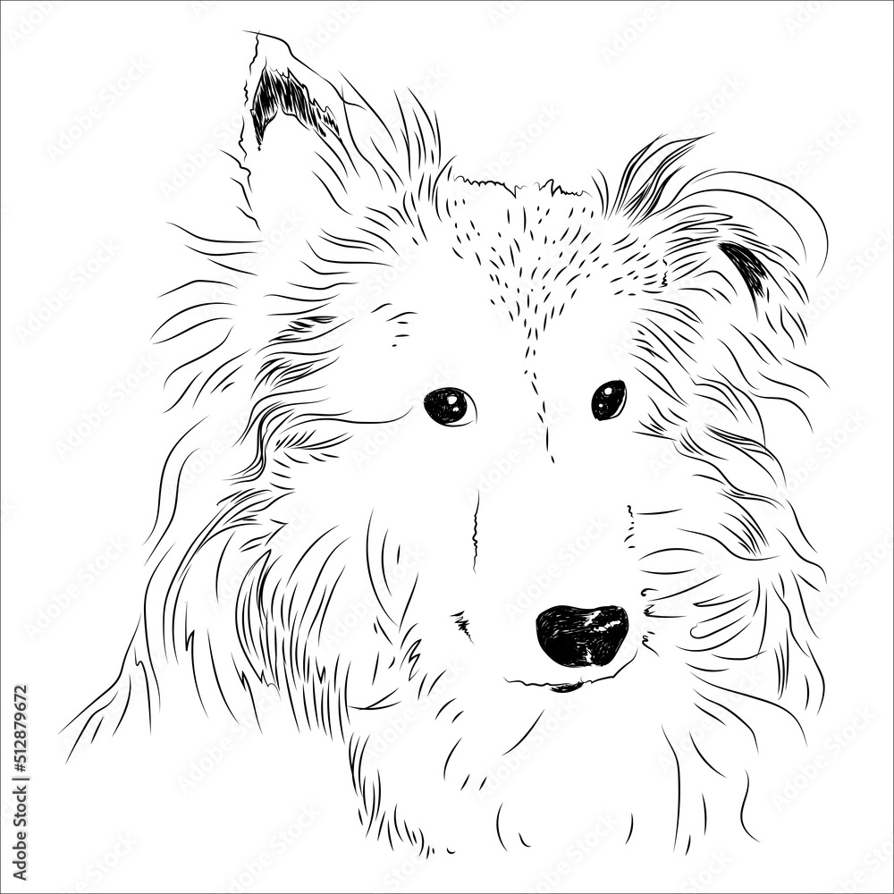 Pen and ink vintage style hand drawn handsome cute dog face portrait ...
