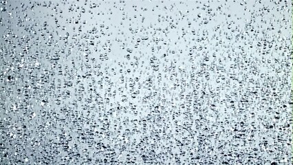 Canvas Print - Water droplets rise up and fall down. On a white background. Filmed is slow motion 1000 fps.