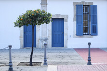 Beautiful Blue Doors With Windows And Tangerine Tree In Old Building In Cyprus