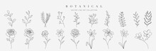 Set Botanical Hand Drawn Vector Element. Collection Of Foliage, Leaf Branch, Floral, Flowers, Roses, Lily In Line Art. Minimal Style Blossom Illustration Design For Logo, Wedding, Invitation, Decor.