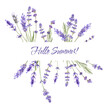Watercolor illustration of lavender, floral frame. Provence illustration. isolated on white. Hello summer!