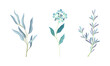 © Happypictures - Set wild meadow herbs and flowers, herbaceous plants vector illustration