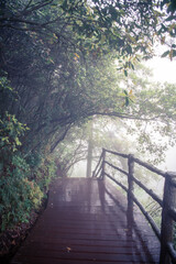 the wooden sidewalk across the misty forest in zhangjiajie, hunan, china, vertical background image 