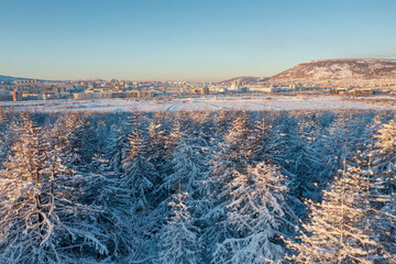 Wall Mural - Winter aerial view of the northern city and its surroundings. The nature of Siberia and the Russian Far East. Beautiful snowy forest. Snow on the branches of larch trees. Cold weather. Magadan, Russia