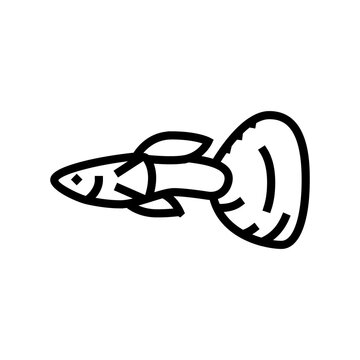 guppy fish line icon vector. guppy fish sign. isolated contour symbol black illustration