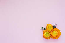 Bicolor Yellow-orange Ranunculus Flower Buds Laid In Bunches On Pale Pink Background. Visible Petal Structure. Top View, Close Up, Copy Space.