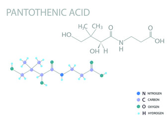 Wall Mural - Pantothenic acid molecular skeletal 3D chemical formula.	
