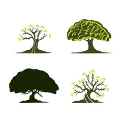 Oak tree logo template vector.