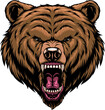 Vector illustration, the head of a ferocious grizzly bear