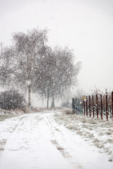 Wall Mural - Schneefall