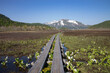 View of Oze National Park, Gunma, Japan
