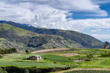 Wall Mural - Landscape view of the Andean mountains on a sunny day. Merida state, venezuela