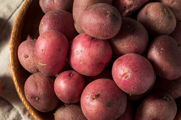 Poster - Red Organic Potatoes in a Bowl