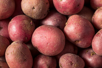 Poster - Red Organic Potatoes in a Bowl