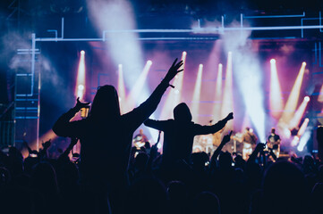 Wall Mural - Concert crowd on a music concert